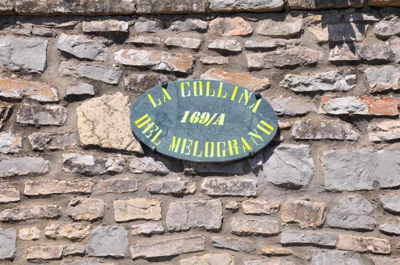 Hotel La Collina Del Melograno Sinalunga Zewnętrze zdjęcie